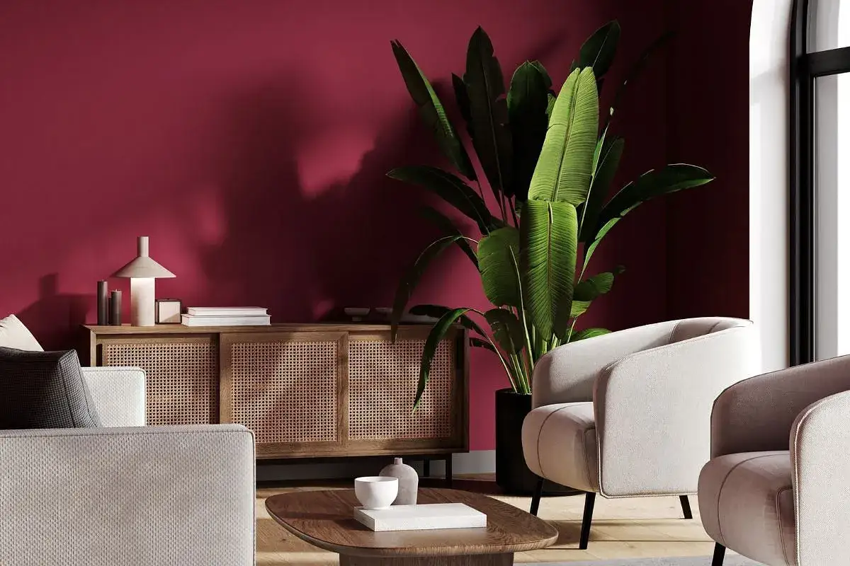 Elegancki salon z burgundową ścianą. Jasne meble i duża roślina tworzą przytulną atmosferę. Kolor burgund z czym łączyć? Z neutralnymi barwami, by podkreślić jego głębię.